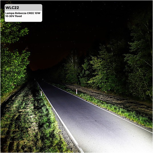 WLC22 Lampa Robocza CREE 10W 10-30V flood -photo number 3