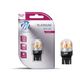 LB829W-01B -T20 W21/5W 12-24V 15x2835SM Canbus Wh -photo number 1