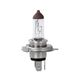 Żarówka halogenowa M-TECH H19 12V60/55W PU43T-3 -zdjęcie numer 3