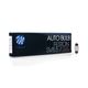 Żarówka M-TECH C5W 24V/5W T11x31 SV8.5 CLEAR -photo number 1