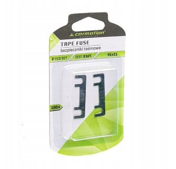Bezpieczniki taśmowe 41x11 mm, 100A, 2 szt.